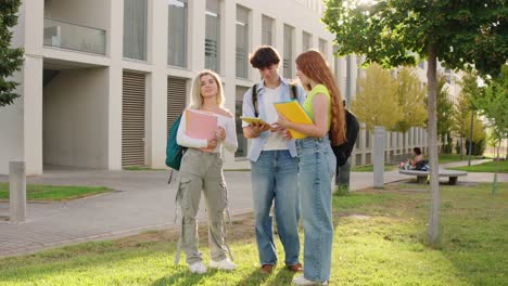 Group of students studying together on campus