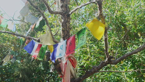 An-Einem-Heiligen-Baum-Befestigte-Buddhistische-Gebetsfahnen-Sehen-Großartig-Aus,-Wenn-Die-Sonne-Ihre-Strahlen-Auf-Sie-Wirft