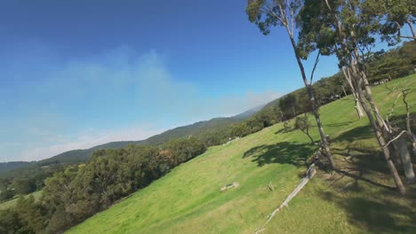 aerial exploration by fpv drone over a natural field and trees