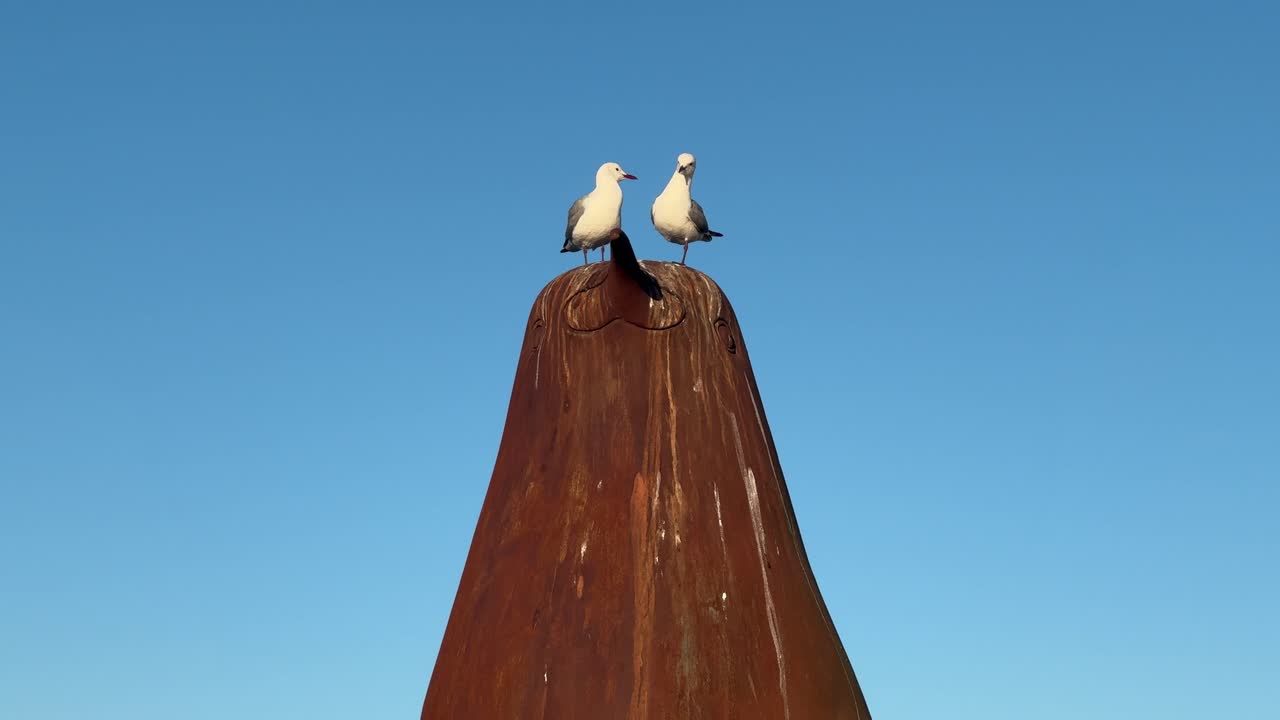 2 Seagulls perched on a Penguin Sculpture in Cape Town’s waterfront precinct. Cape Town, South Africa
