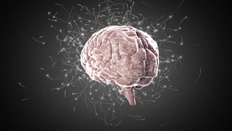 animación del cerebro humano y procesamiento de datos sobre un fondo oscuro