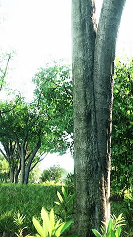close-up of a tree trunk in a forest