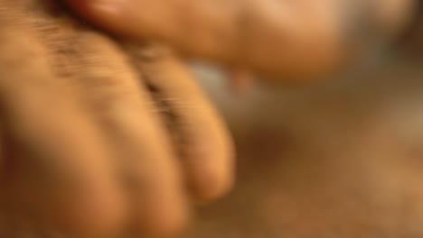 macro shot of madder root production, herbal remedy made from organic plant root
