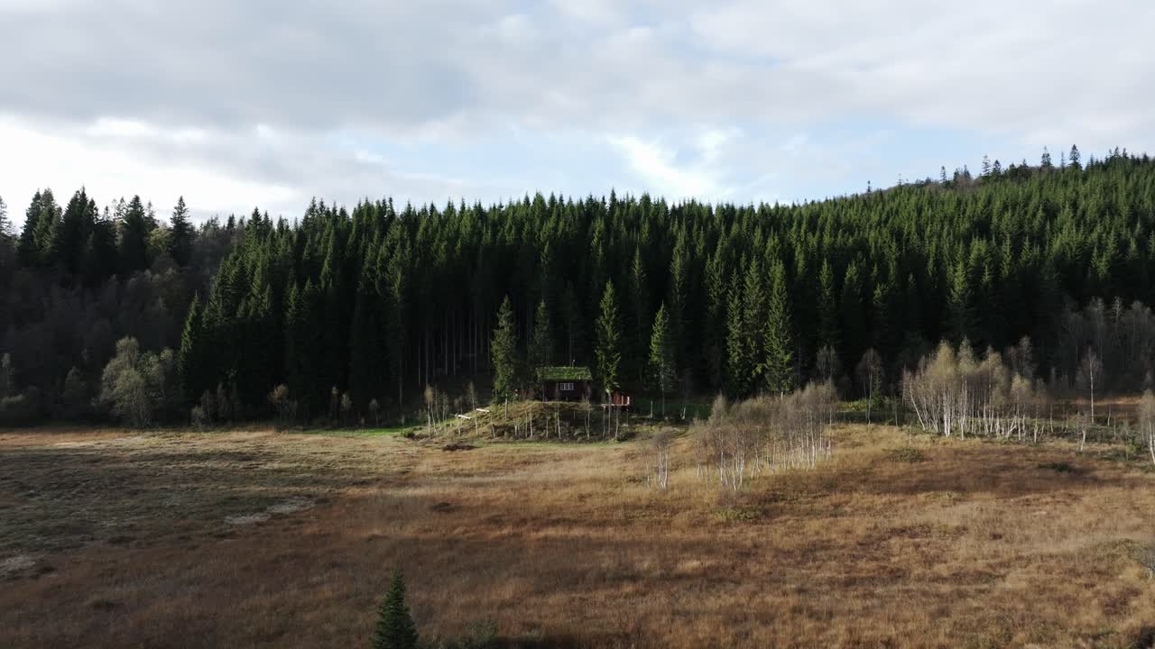 Trästuga i grön skog i Indre Fosen, Norge – Drönarbilder