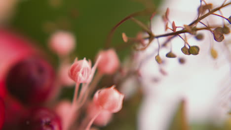 berries and small pink flower buds arranged in bouquet