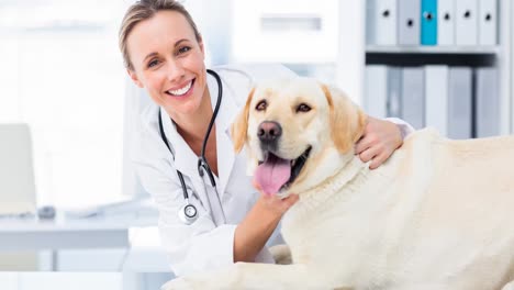 animación de un lindo perro mascota labrador con un veterinario feliz