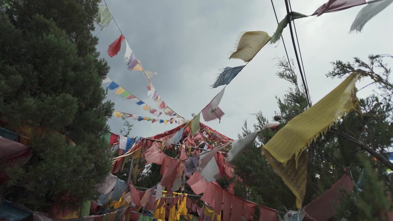 Mistico baldacchino di bandiere di preghiera buddiste in una pineta vicino a Baisha, Yunnan, Cina