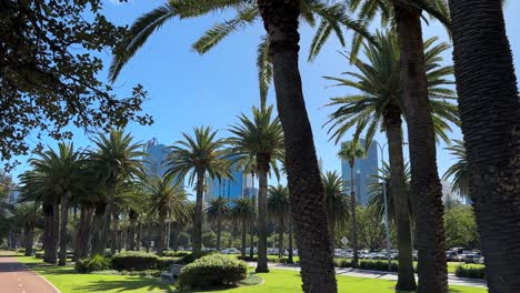 filas de palmeras en la carretera de la orilla del río con los rascacielos de la ciudad de perth en el fondo, australia occidental