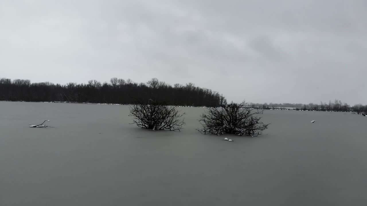 Un drone circonda piccoli cespugli ghiacciati nel lago Creve Coeur, St.