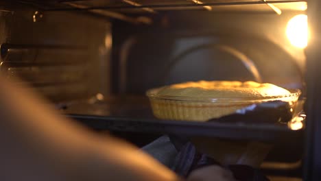 apple cake in oven as 2 hands are going in