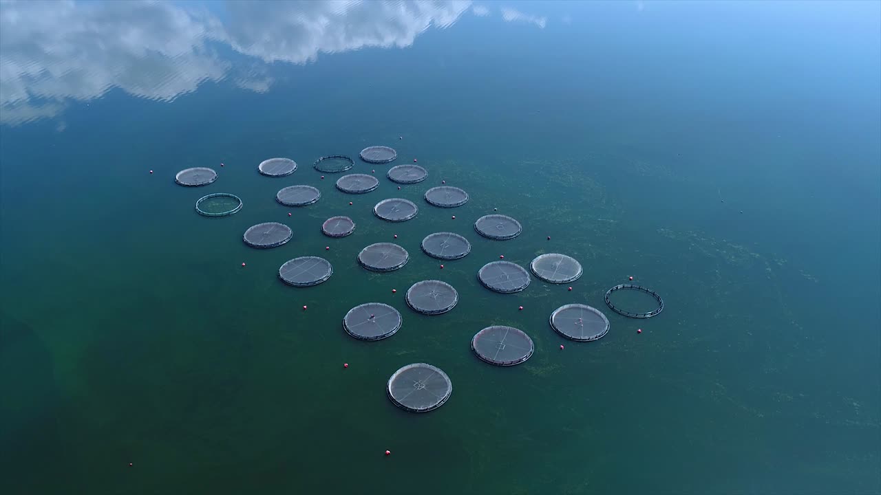물고기 농장 의 공중 사진