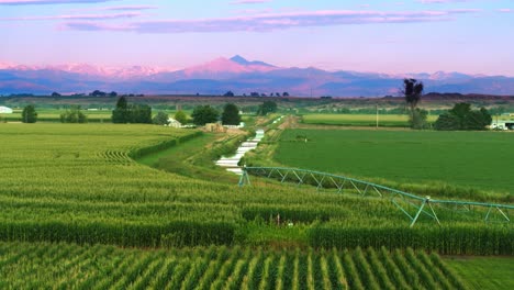 Drone-Aéreo-Volando-Sobre-Cultivos-De-Campo-De-Maíz-Hacia-Las-Majestuosas-Montañas-Rocosas-De-Colorado-Púrpura-Al-Amanecer