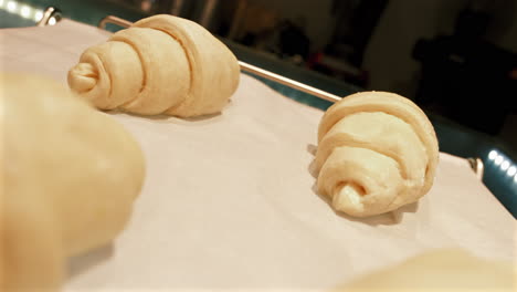 freshly baked: a perfect bread baking process captured