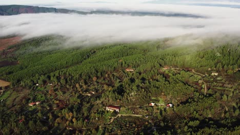 disparo de avión no tripulado del paisaje montañoso empapado de sol con niebla rodante y bosque