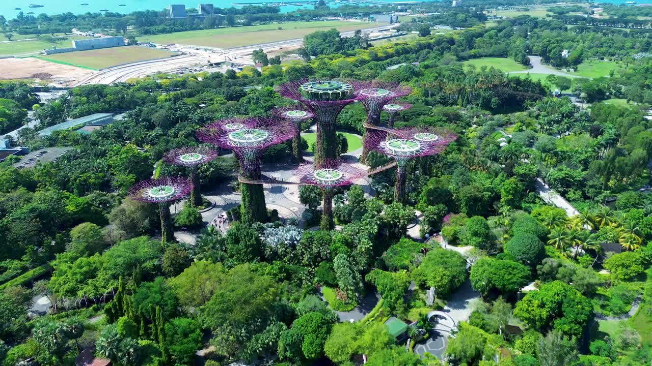 Luftaufnahme mit Drohne von Supertree Grove Vertikalen Gärten, Kunstdesign-Beleuchtung mit Gehweg-Waldpark in Marina Bay, Singapur, Asien, Reise, Tourismus