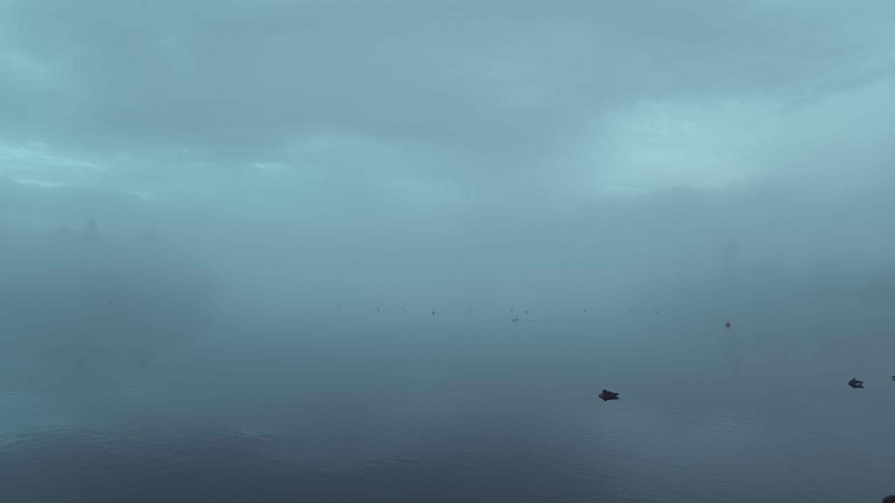 영국 브리아 주 레이크 디스트릭트 에 있는 안개 가 가득 한 윈더미어 호수 에서 수영 하는 오리 들