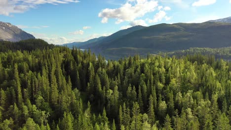 Luftaufnahmen-Schöne-Natur-Norwegen