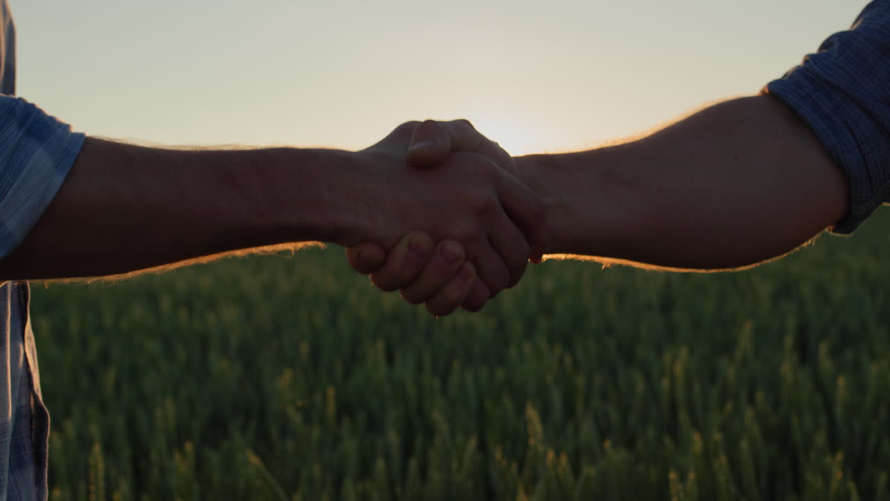 Energetic handshake of two successful farmers on the background of a field of wheat