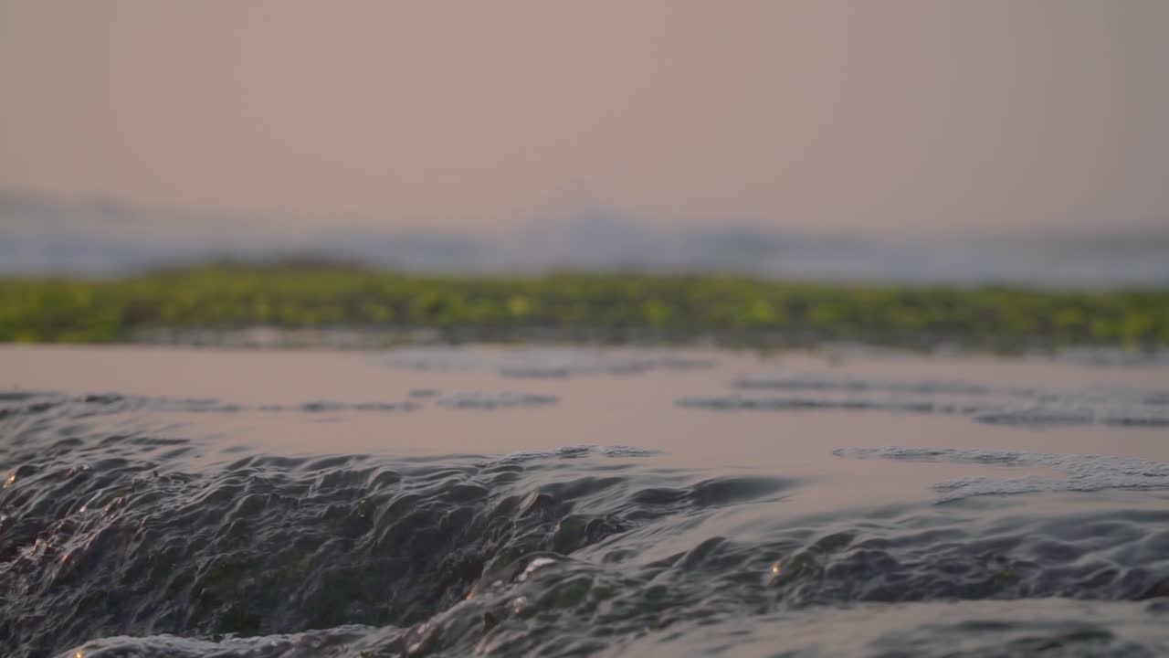 Acqua del mare che scorre sulla roccia corallina ricoperta di muschio sulla spiaggia.
