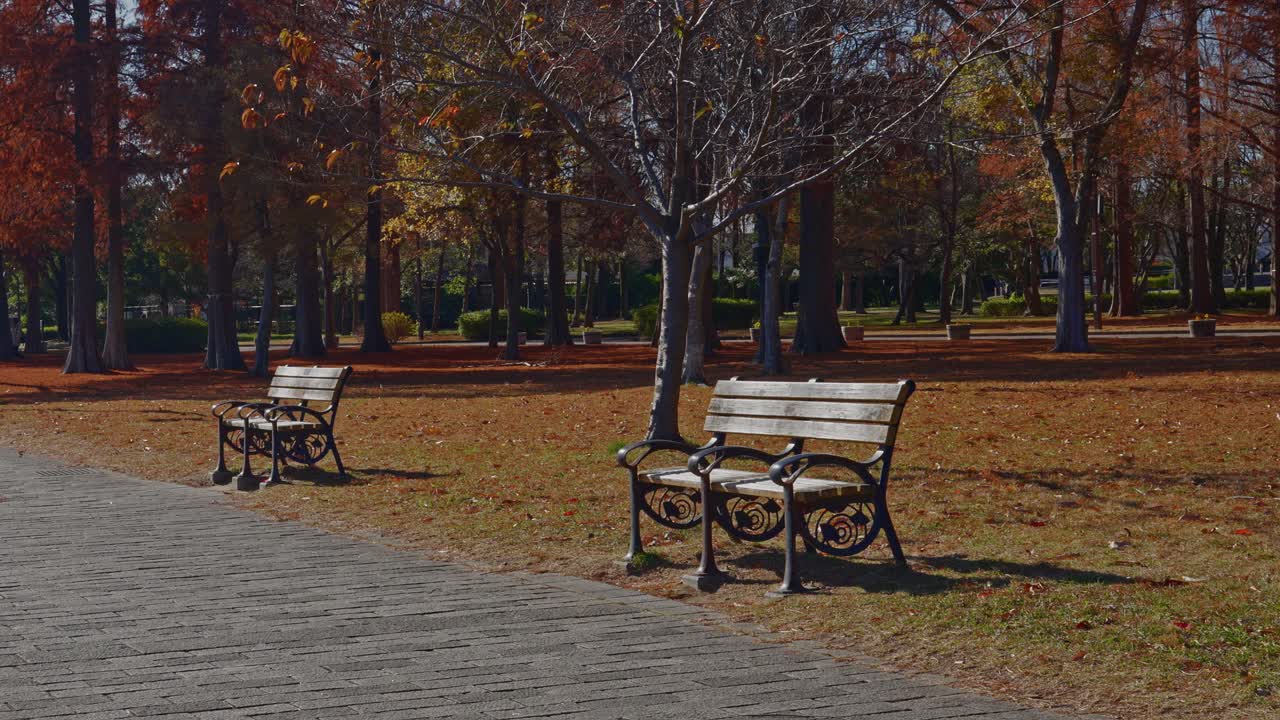 A peaceful scene in Mizumoto Park, Tokyo, featuring wooden benches under the soft afternoon sun, surrounded by the warm colors of autumn foliage