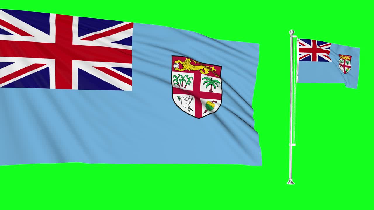 푸른 스크린 피지 두 개의 발이 흔들리는 피지 발 기둥 애니메이션 3d 크로마 키