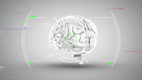 animación del cerebro humano y procesamiento de datos