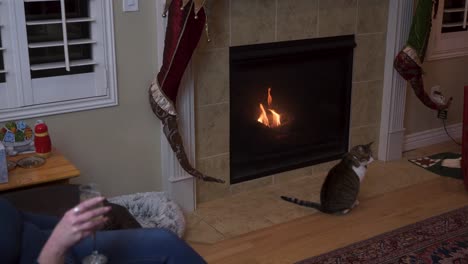 viuda mayor bebiendo vino sola junto a una chimenea.