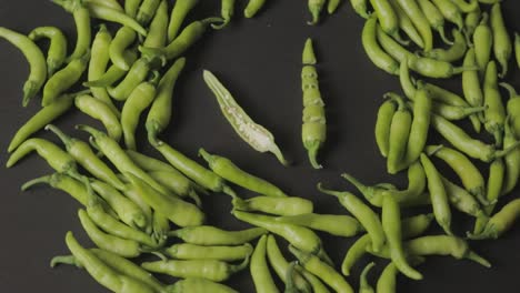 green chilli isolated on blue background