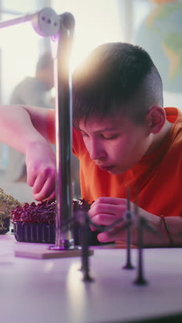 boy doing a science experiment with plants