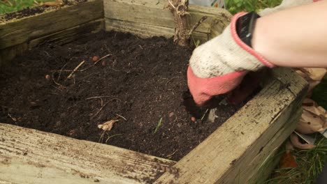 jardinero cavando el suelo antes de plantar un bulbo de tulipán cámara lenta 4k