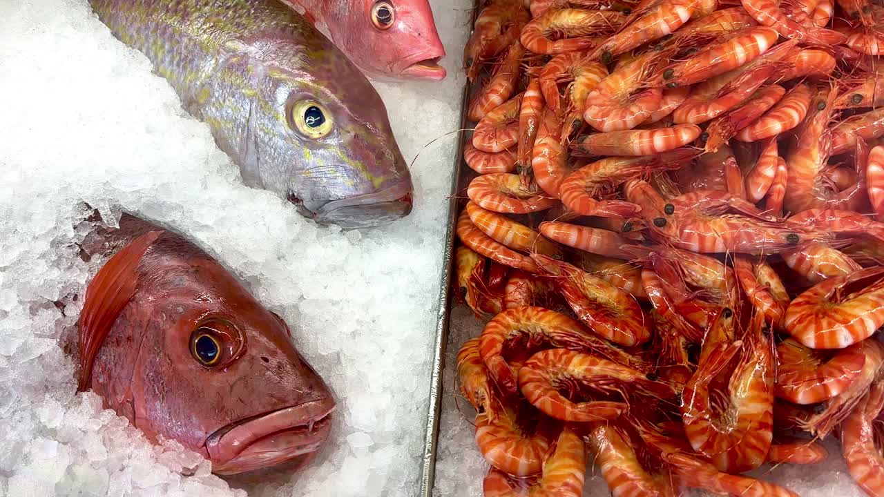 Seafood Fresh Fish and Prawns in ice displayed in market restaurant, Perth. Western Australia