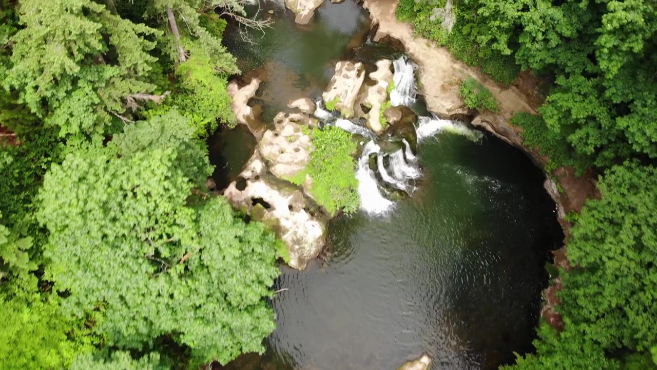 Vista aérea cenital de un paisaje natural salvaje de bosque verde en el Parque Lacamas, Washington. Dron volando sobre naturaleza inexplorada revelando una cascada y un sendero de trekking
