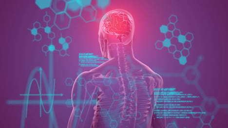 animación del procesamiento de datos sobre la fórmula humana y química digital