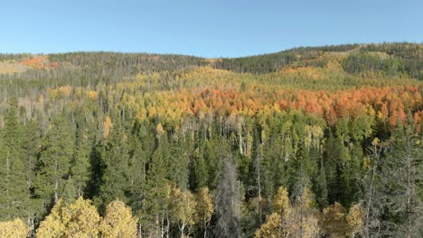 Aerial-Dolly-über-Bunten-Wald-Im-Herbst