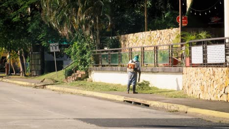 Worker-dressed-in-protective-clothing,-using-leaf-blower-equipment-machine-to-blow-towards-the-sides-of-the-street-recently-cut-grass-on-a-promenade,-Causeway-of-Amador,-Panama-City