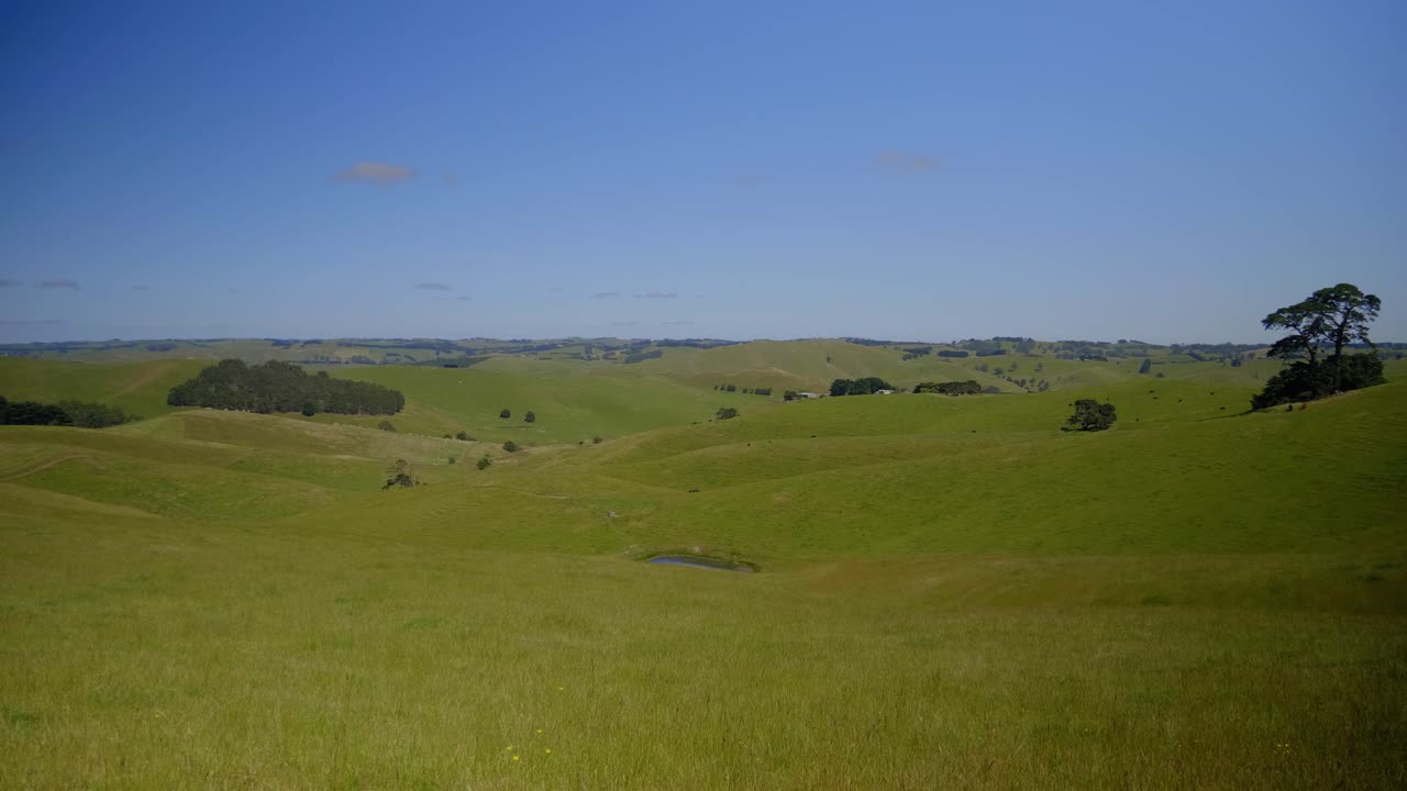 verdes colinas ondulantes en south gippsland, victoria, australia