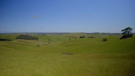 verdes colinas ondulantes en south gippsland, victoria, australia