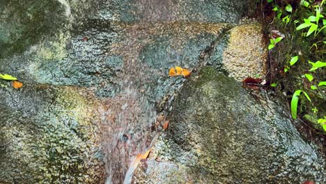 Mahe-Seychellen-Wasser-Fällt-Nach-Starkem-Regen-Vom-Felsen