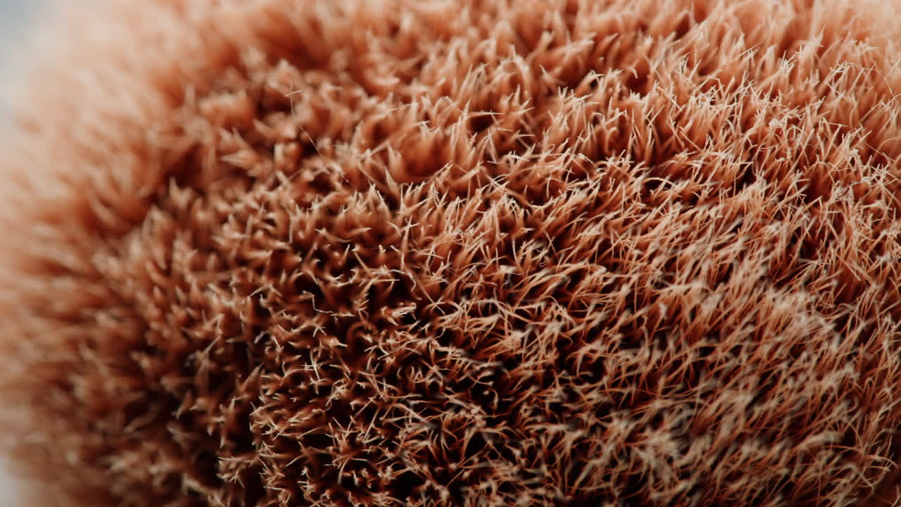 Close-up of Makeup Brush Bristles