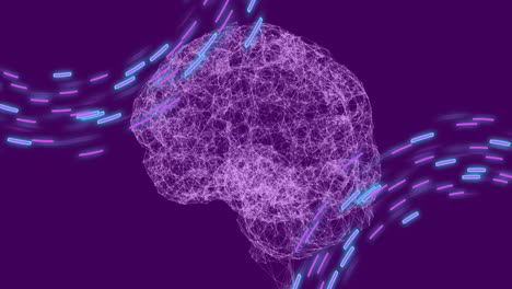 animación del cerebro humano, senderos de luz y procesamiento de datos