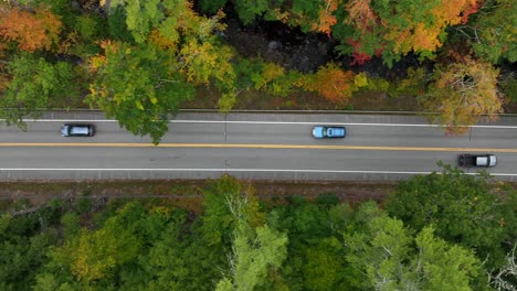 Toma-De-Seguimiento-Hacia-Abajo-De-Los-Automóviles-Que-Circulan-Por-Una-Carretera-Pavimentada-A-Través-Del-Bosque-En-Otoño