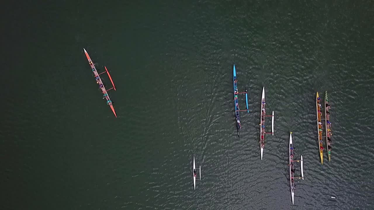 Aerial view above group of colourful rowing team boats moving through green lake water together