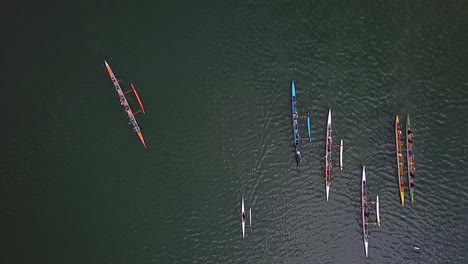 aerial view above group of colourful rowing team boats moving through green lake water together