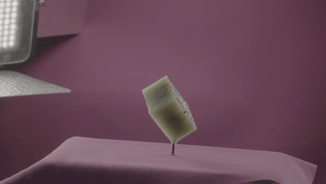 kiwi girando con bucle en la pantalla de fucsia para la llave de croma