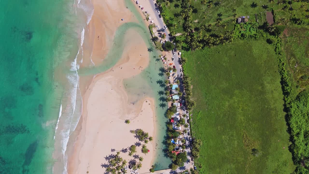Aerial View of a Tropical Beach with Turquoise Water and Palm Trees