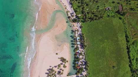 aerial view of a tropical beach with turquoise water and palm trees