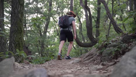 tourist walking up along the stone mountain trail