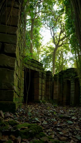 ruinas de la jungla