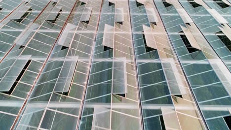 Green-farm-covered-with-rooftop-glass-4k