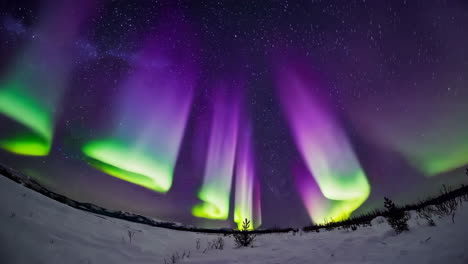 aurora borealis over snowy landscape